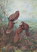 Faisan Paon Gris - George Edward Lodge — weergave van het kunstwerk