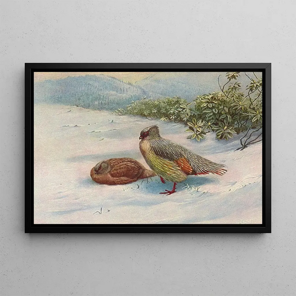 Perdrix de sang du Nord - George Edward Lodge — framed artwork on a wall