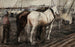 van werkpaarden in de Houthaven, Amsterdam - George Hendrik Breitner — weergave van het kunstwerk