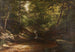 Cascade in het bos - George Hetzel — weergave van het kunstwerk