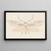 Entomology watercolor painting Pl080 - George Hudson — framed artwork on a wall