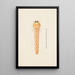 Entomological watercolor painting Pl086 - George Hudson — framed artwork on a wall