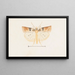 Entomology watercolor Pl095 - George Hudson — framed artwork on a wall