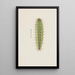 Entomological watercolor painting Pl111 - George Hudson — framed artwork on a wall