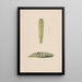 Entomological watercolor painting Pl112 - George Hudson — framed artwork on a wall