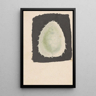 George Hudson - Entomology watercolour Pl167.webp