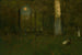 Picknick in het bos Montclair New Jersey - George Inness — weergave van het kunstwerk