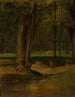 Ruisseau à truites de North Conway - George Inness — weergave van het kunstwerk