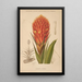 Dictionnaire pratique d'horticulture Pl10 - George Nicholson — framed artwork on a wall