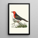 Abyssinian Plant Pot Painting - George Shaw — framed artwork on a wall