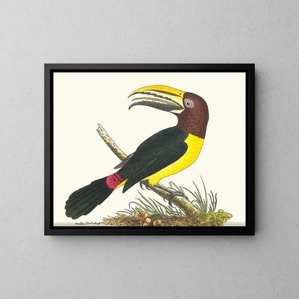 Toucan green - George Shaw — framed artwork on a wall
