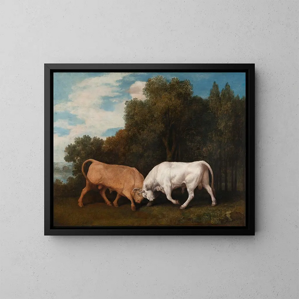 Gevecht met stieren - George Stubbs — ingelijst kunstwerk aan de muur