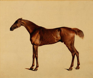 Pangloss - George Stubbs — weergave van het kunstwerk