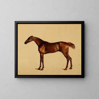 Pangloss - George Stubbs — ingelijst kunstwerk aan de muur