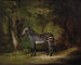 Zebra - George Stubbs — weergave van het kunstwerk