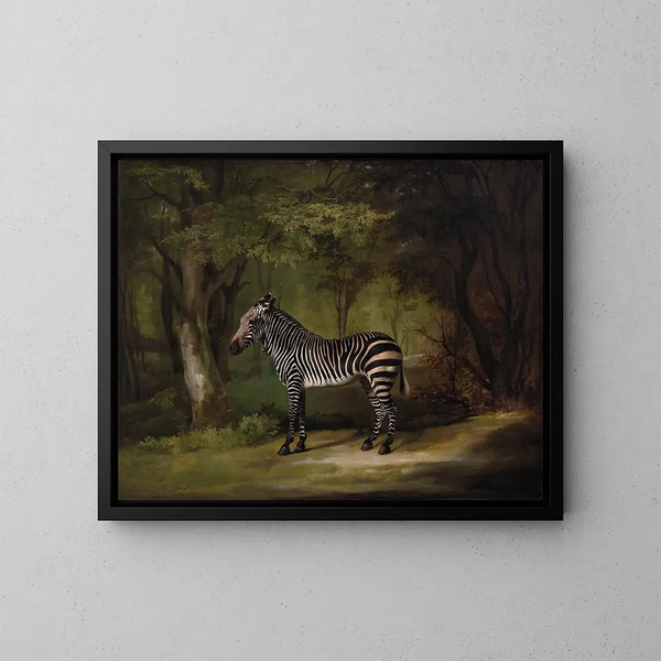 Zebra - George Stubbs — ingelijst kunstwerk aan de muur