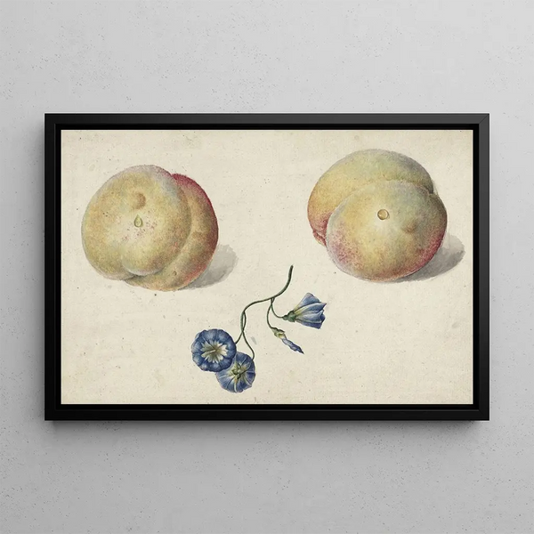 Two Peaches and a Flower - Georgius Jacobus Johannes van Os — framed artwork on a wall