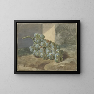 Gerard Sanders - Druiventros.webp