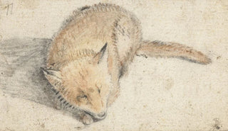 Gerard ter Borch - Slapende vos.webp