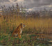 van een tijger in een landschap - Géza Vastagh — weergave van het kunstwerk