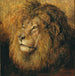 Tête de lion - Geza Vastagh — weergave van het kunstwerk