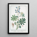 Lupinus pergrinus major vel villosus Lupino Fusaglia Lupin - Giorgio Bonelli — framed artwork on a wall