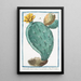 Opuntia vulgo Herbariorum Ficus Indica folio spinoso fructu majore Fico d'India Raquette ou Cardasse - Giorgio Bonelli — ingelijst kunstwerk aan de muur