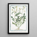 Sisymbrium palustre rampant à feuille de cresson ou Roquette des marais à petite fleur jaune Moutarde des haies - Giorgio Bonelli — ingelijst kunstwerk aan de muur