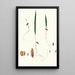 Germination of the date palm - Giorgio Gallesio — framed artwork on a wall
