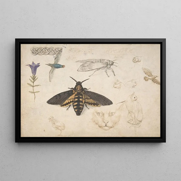 Giorgio di Giovanni - Studies of a Gentian Moth Birds Cats Interlacing Motif and Greek Frets.webp