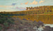 Lac dans la forêt - Gottfrid Kallstenius — weergave van het kunstwerk