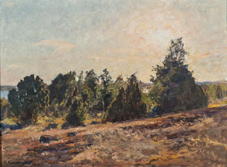 Gottfrid Kallstenius - Towards Evening Hors in The Tjust archipelago.webp