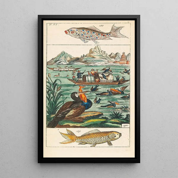 Histoire naturelle 27 volumes - Gottlieb Tobias Wilhelm — ingelijst kunstwerk aan de muur