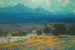 Californisch klaprozenveld schilderij - Granville Redmond — weergave van het kunstwerk