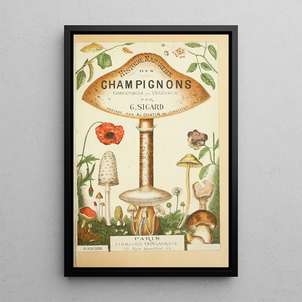 Natural history of mushrooms Pl01 - Guillaume Sicard — framed artwork on a wall