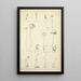 Histoire naturelle des champignons Pl42 - Guillaume Sicard — framed artwork on a wall