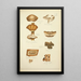 Natural History of Mushrooms Pl59 - Guillaume Sicard — framed artwork on a wall