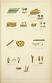 Natural history of mushrooms Pl69 - Guillaume Sicard — artwork view