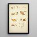 Natural History of Mushrooms Pl70 - Guillaume Sicard — framed artwork on a wall