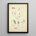 Natural history of mushrooms Pl74 - Guillaume Sicard — framed artwork on a wall