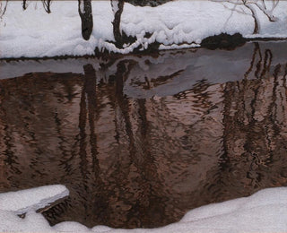 Stromend water - Gustaf Fjaestad — weergave van het kunstwerk