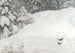 Neige - Gustaf Fjaestad — weergave van het kunstwerk
