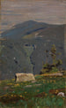 Vue depuis la Hornisgrinde - Gustav Kampmann — weergave van het kunstwerk