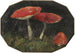 Amanites - Gustav Macoun — weergave van het kunstwerk