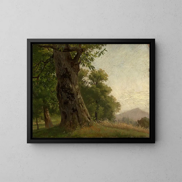 Study of a Tree - Gustav Osterroht — framed artwork on a wall