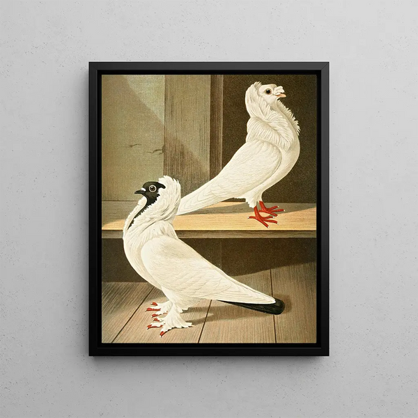 Gustav Prtz - C jubata.webp