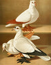 Rameur - Gustav Prütz — weergave van het kunstwerk