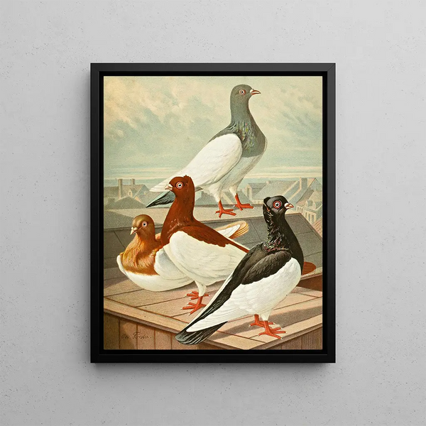 Gustav Prtz - Dnisch Elster.webp