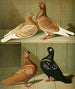 Gobelets russes - Gustav Prütz — weergave van het kunstwerk