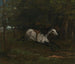 Paard in beweging - Gustave Courbet — weergave van het kunstwerk